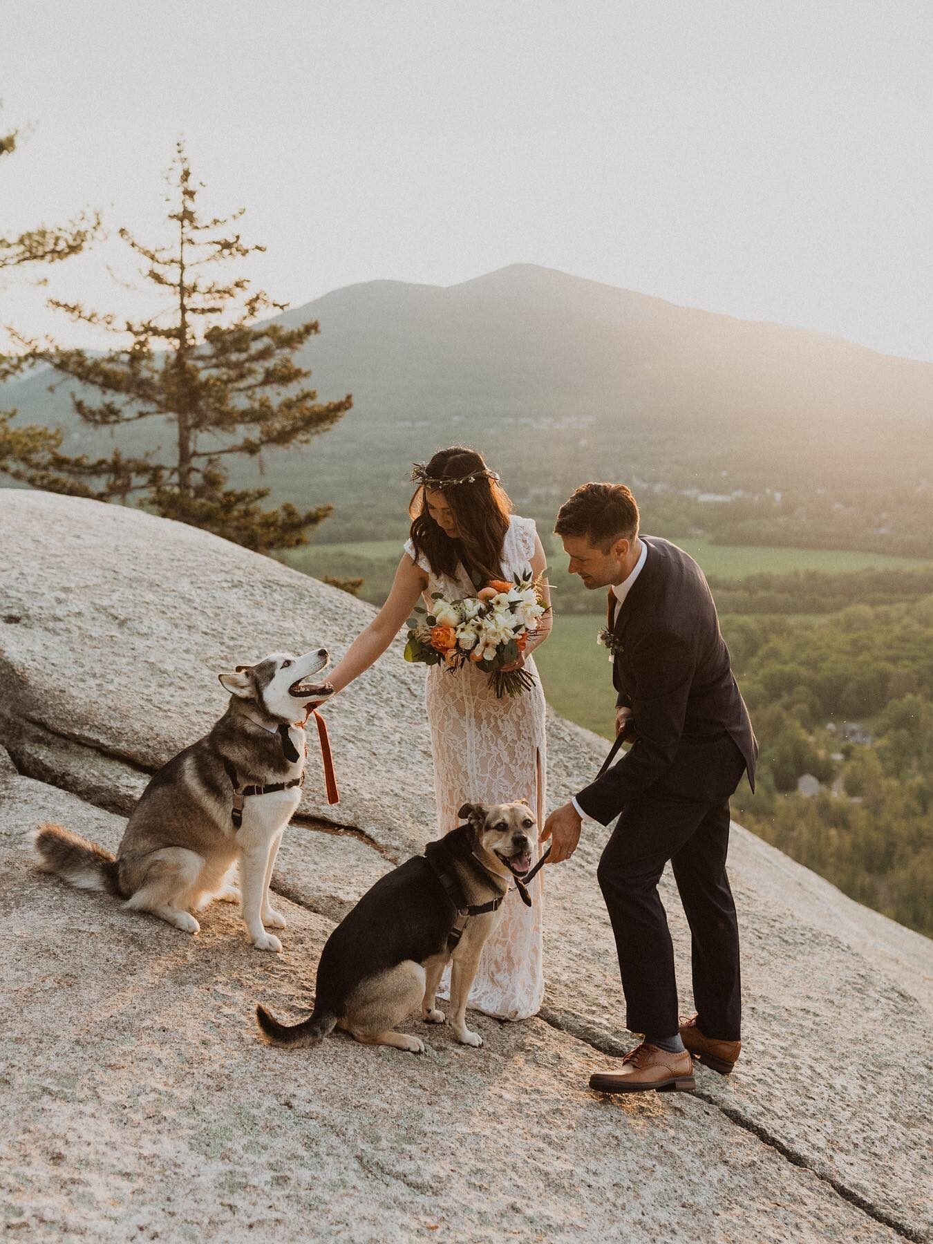 Bride and groom pet their two dogs on a mountaintop in White Mountains, NH